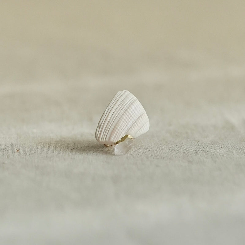 【NEW】貝殼耳夾 | Shell Clip-on Earring