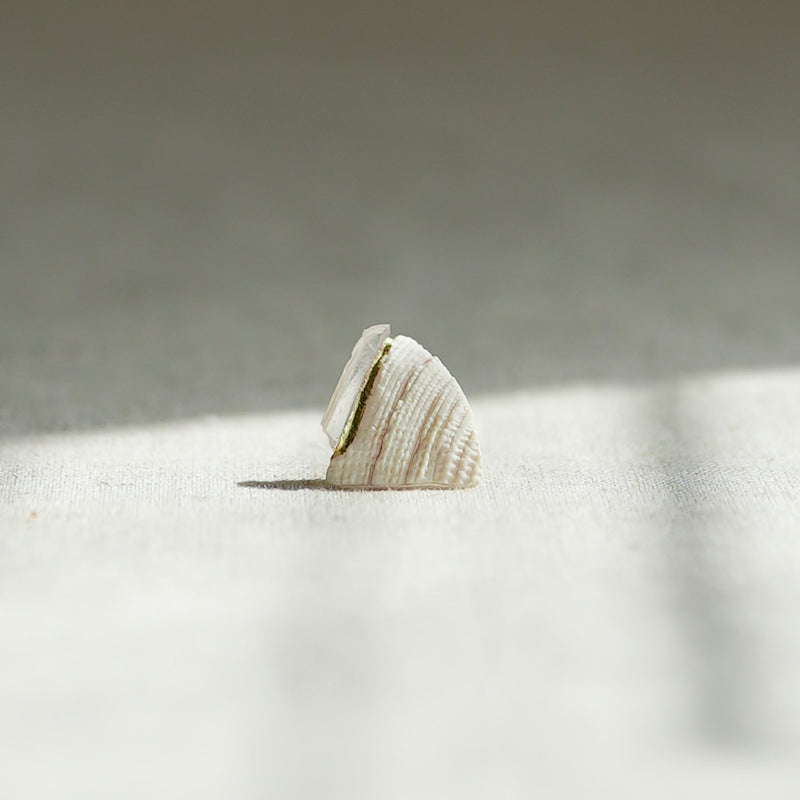 【NEW】貝殼耳環 | Shell Earring