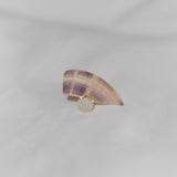 貝殼耳夾 | Shell Clip-on Earring